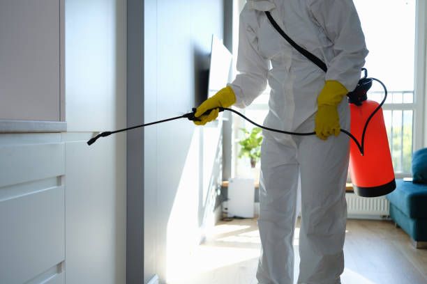 Mold Removal for HVAC Installations in Norco, CA